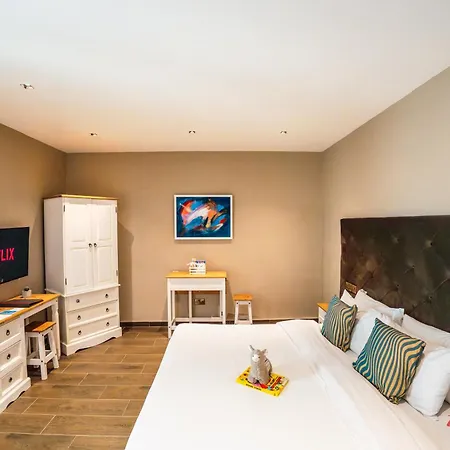 The Segond Hotel 4*